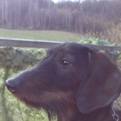 S montym na posede
