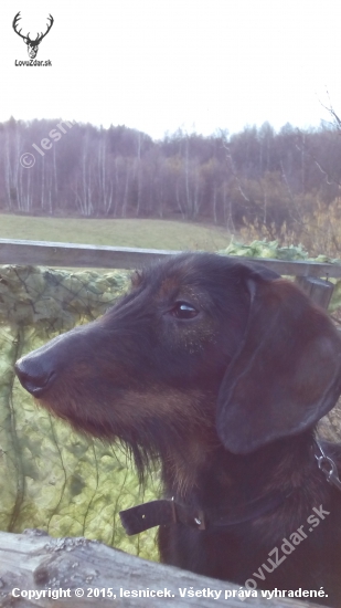 S montym na posede