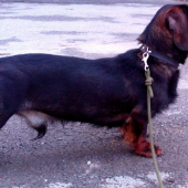 Monty :)