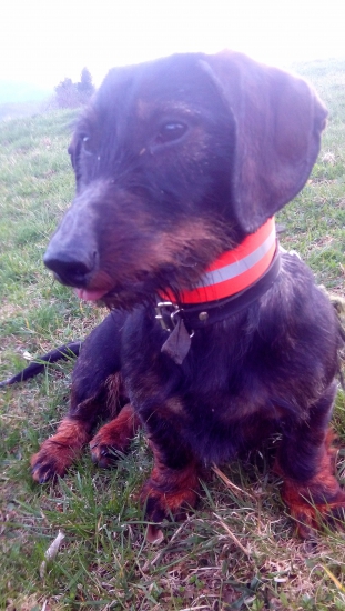 Dnes znova na vychádzke