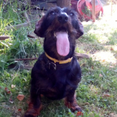 Monty