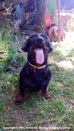 Monty