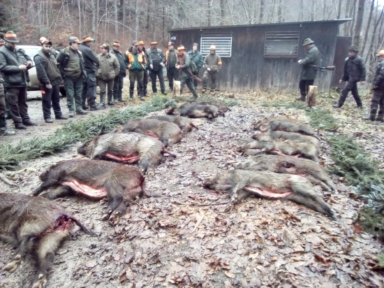 Spoločna polovačka u kamaráta :)