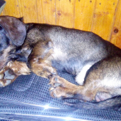 Monty na chate :)