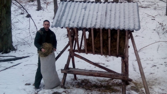 Dnes troška sena :)