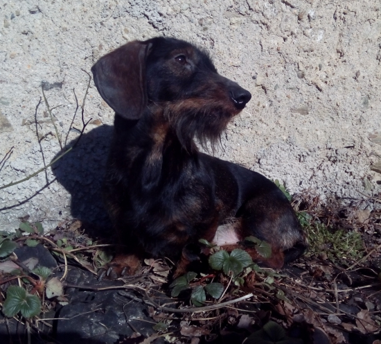 Monty sa vyhrieval :)