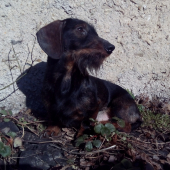 Monty sa vyhrieval :)