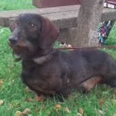 Monty