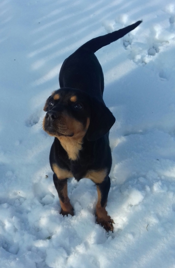 Ella 6 mesiace