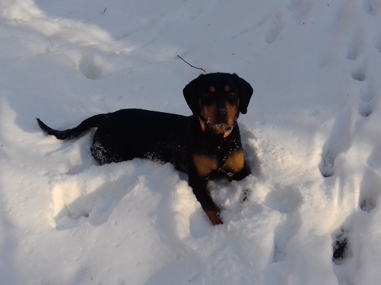 Ella