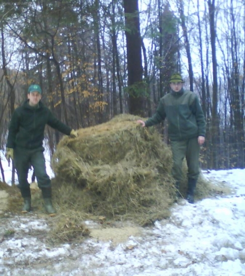 horarmarek a lesnicek prikrmuju
