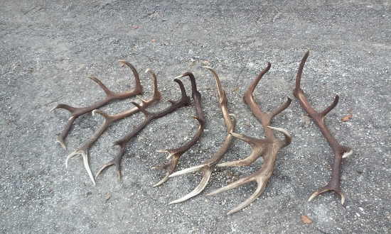 výsledok 5 hodinovej prechádzky