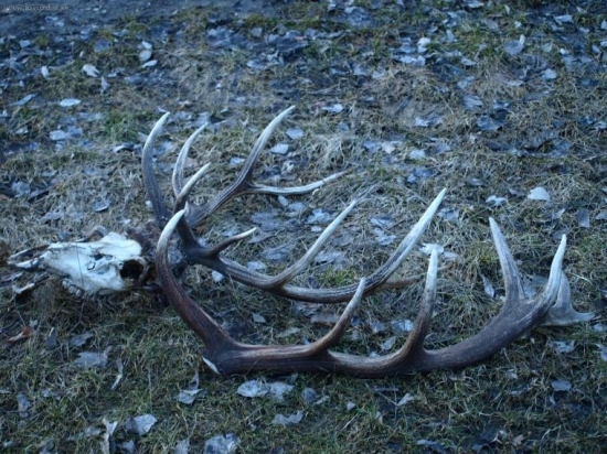 vydarené popoludnie