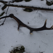 vydarený 23. február