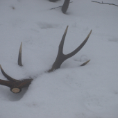 vydarený 23. február