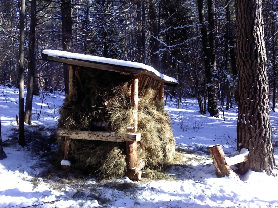 tak sa mate starat o zver jak jaaa.... a nie len strielat