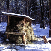 tak sa mate starat o zver jak jaaa.... a nie len strielat