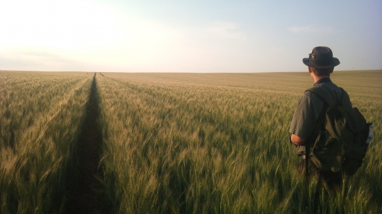 kde len tí srnci sú??????