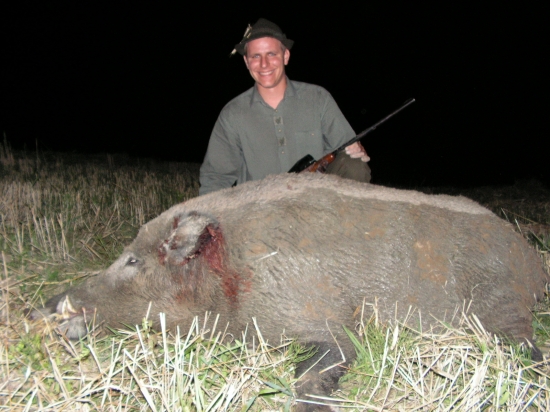 narodeninové prasiatko