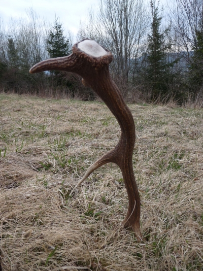 Aj mne sa končne podarilo