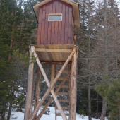 ďalší z mnohých ....