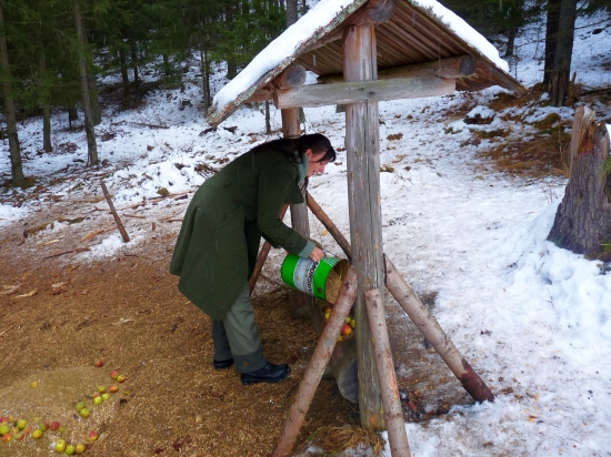 Aj švagrinka prikrmuje :D