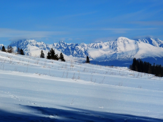 Pohľad od nášho krmelca