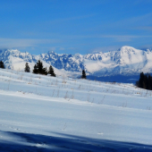 Pohľad od nášho krmelca