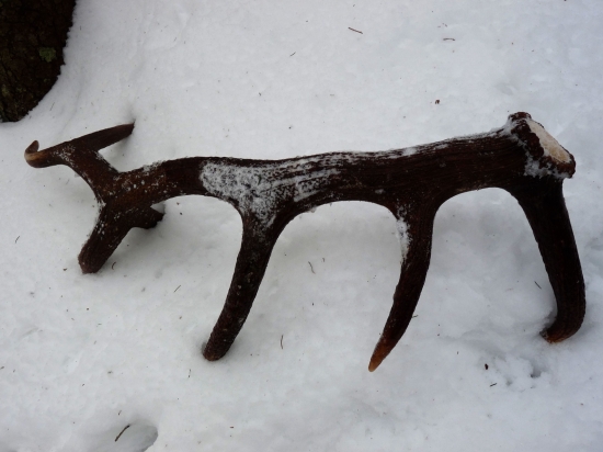 Konečne sa podarilo !