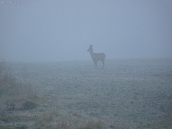 Škoda že bol v hmle