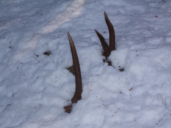 Po 2km pára k predošlému