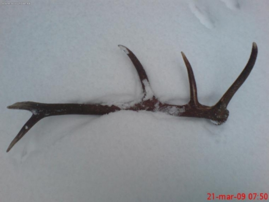 Dnes keď som bol s bratrancom a bratom