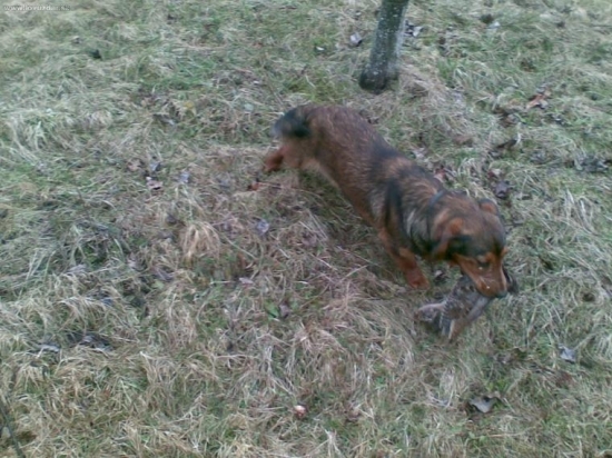 10 mes. Daxel aportuje