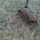 10 mes. Daxel aportuje