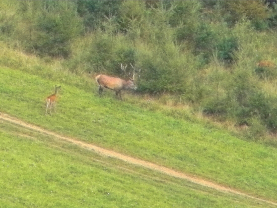 škoda že nebol bližšie