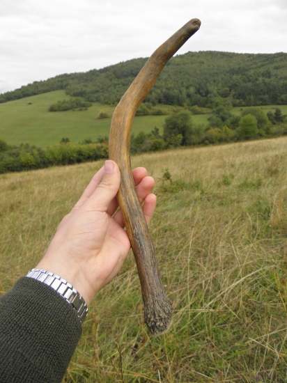 Septembrový ihličiak (40cm)