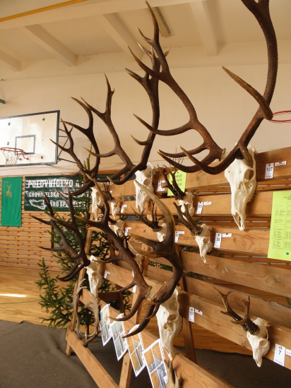 Medailové trofeje na chovateľskej prehliadke v Prešove