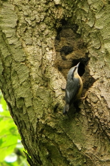 Kontrola mládežníkov