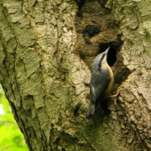 Kontrola mládežníkov