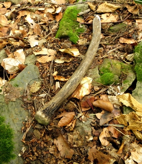 Ďalší špicer do zbierky