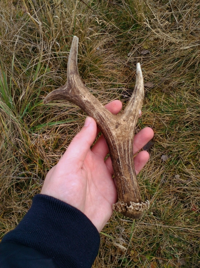 Dnešný minuloročný