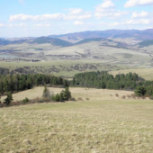 Môj rodný kraj (v pozadí Čergov)