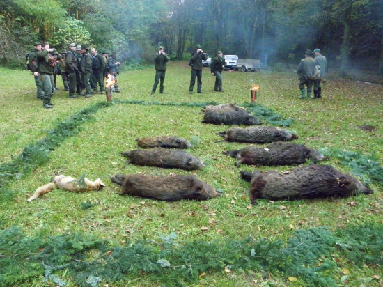 Výsledok dnešnej poľovačky TU vo Zvolene