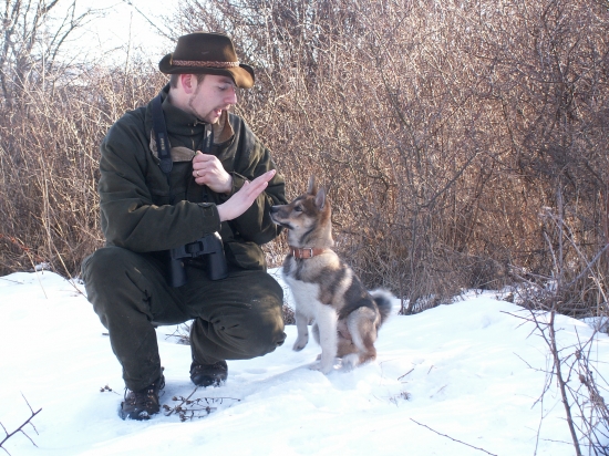 Naša zapadosibírska lajka
