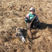 Moje zlatká a zlatý zhod