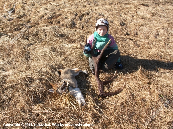 Moje zlatká a zlatý zhod