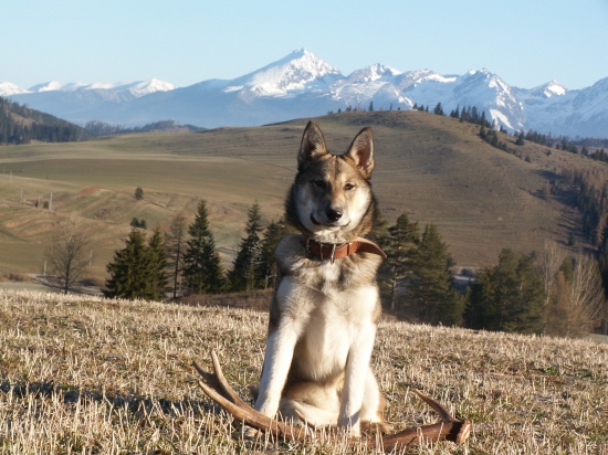 Konečne mám čerstvý...
