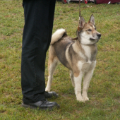 Výstava BB