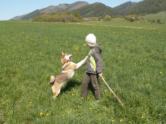 Naše detičky sa hrajú :o)))