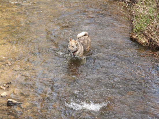 Vodička.... môj priatelˇ